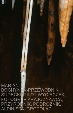 J. Wałbrzyska- zespolone stalaktyty